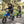 KerryYoo C11 — 24V Electric Dirt Bike for Kids - Electric Dirt Bike for kids