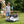 KerryYoo K71 — 24V Electric Drift Kart for Kids - Electric Drift Kart for kids