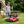 KerryYoo K71 — 24V Electric Drift Kart for Kids - Electric Drift Kart for kids
