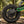 KerryYoo C11 Pro — 36V Electric Dirt Bike for Kids - Electric Dirt Bike for kids