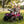 KerryYoo SAT5 Officially Licensed Can-Am 24V 2-Seater Kids Ride-On ATV - Electric ATV for kids