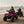 KerryYoo SAT5 Officially Licensed Can-Am 24V 2-Seater Kids Ride-On ATV - Electric ATV for kids
