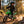 KerryYoo C11 — 24V Electric Dirt Bike for Kids - Electric Dirt Bike for kids
