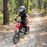 KerryYoo C11 36V Electric Dirt Bike for Kids 8-14, 350W Teen Electric Motorcycle, 16 mph, Spring Shock Absorption Suspension